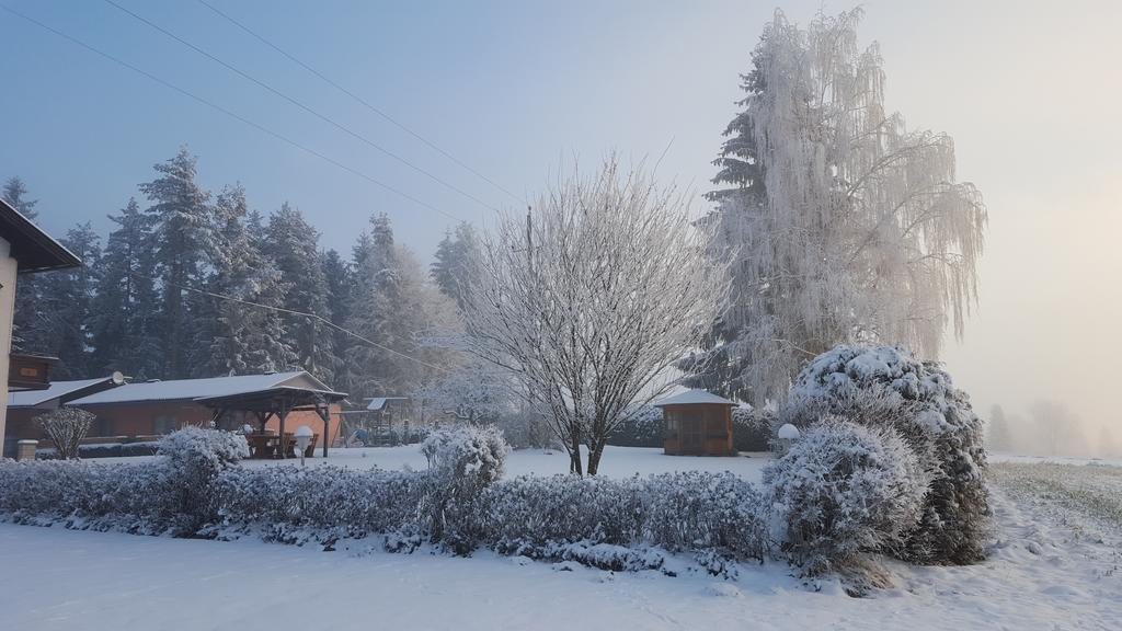 Waldpension ชีฟลิง อัม ซี ภายนอก รูปภาพ