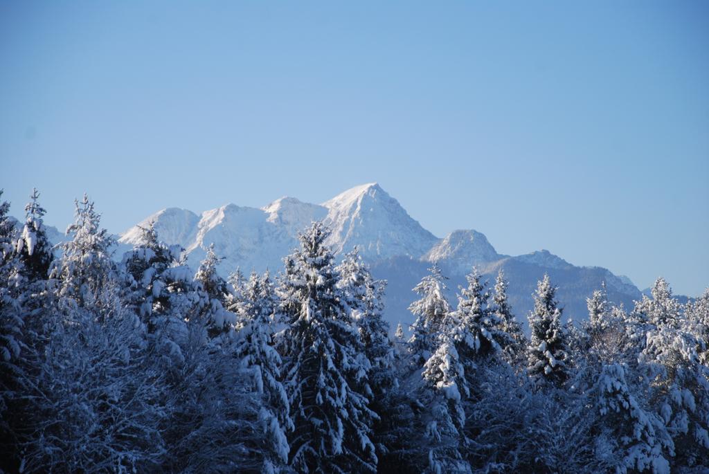 Waldpension ชีฟลิง อัม ซี ภายนอก รูปภาพ